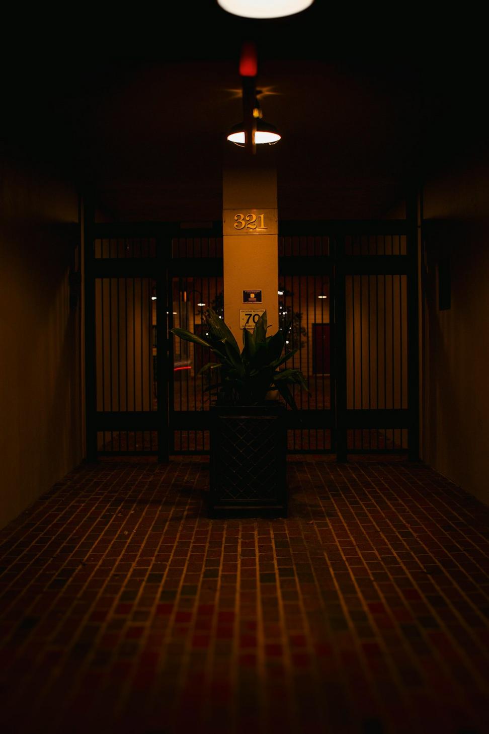 Restaurant Opening